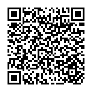 QR Code for What Works? A Review of the Efficacy and Effectiveness of Nutrition Interventions