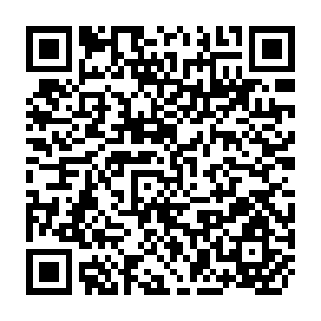 QR Code for What Works? A Review of the Efficacy and Effectiveness of Nutrition Interventions