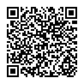 QR Code for Projecting the World Food Supply and Demand Using A Long- Term Dynamic Simulator