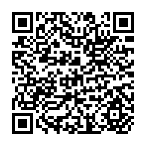 QR Code for Trade Reform and Comparative Advantage: Expectations for Costa Rica's Agricultural Development