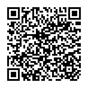 QR Code for Proletarianisation, agency and changing rural livelihoods:forced labour and resistance in colonial mozambique