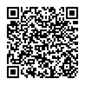 QR Code for The Closing of the American Mind