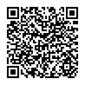 QR Code for The Art of Simulation