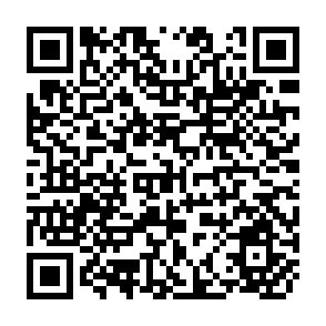 QR Code for IFAD and NGOs Dynamic Partnerships to Fight Rural Poverty
