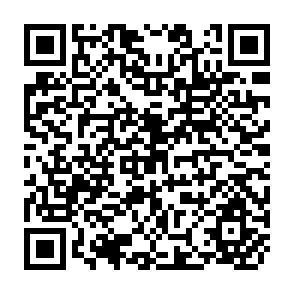 QR Code for A Strategy for Agricultural and Rural Development in Asian Countries