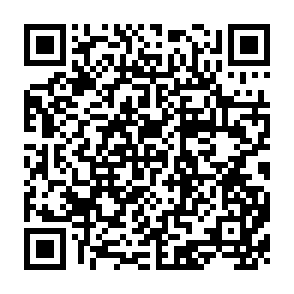 QR Code for The State of Food Insecurity in the World