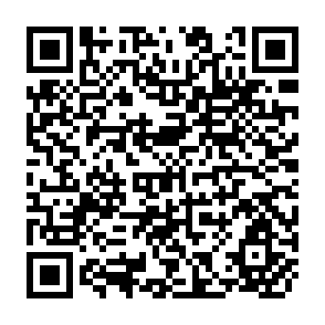 QR Code for Assessing The Distributional Impact Of Technical Change In Livestock And Grains Production In Developing Countries