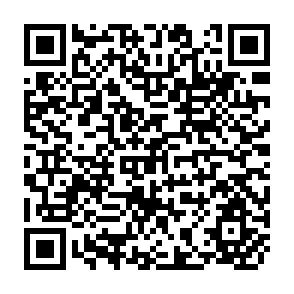 QR Code for Peasant Citizens