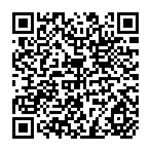 QR Code for Market Microstructure