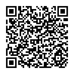 QR Code for Problems of Governance in South Asia