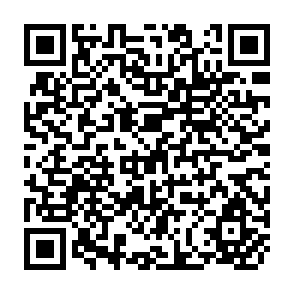QR Code for Quality Control in Fish Processing