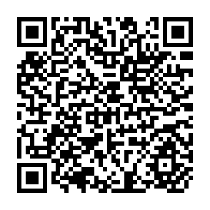 QR Code for Sustainable Agricultural Systems for Small-Scale Farmers in Thailand: Implications for the Environment