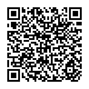 QR Code for Development As Freedom- Contributions and Shortcomings of Amartya Sen's Development Philosophy for Feminist Economics