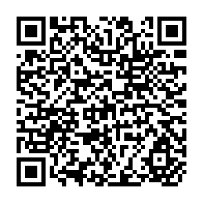 QR Code for The Making of Green Knowledge