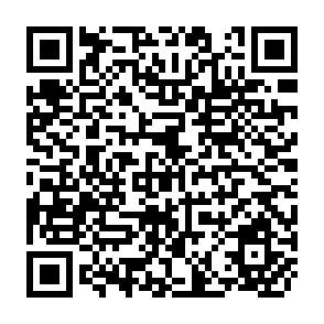 QR Code for Environmental Dilemmas and Policy Design