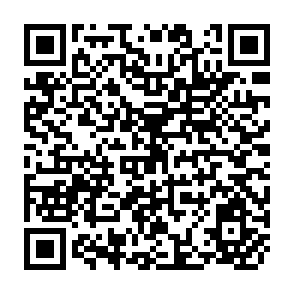 QR Code for Public Support for Market Reforms in New Democracies