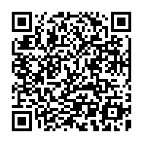 QR Code for Ancient Roots, New Shoots