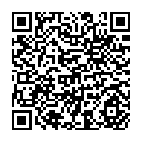 QR Code for Poverty and Patterns of Growth