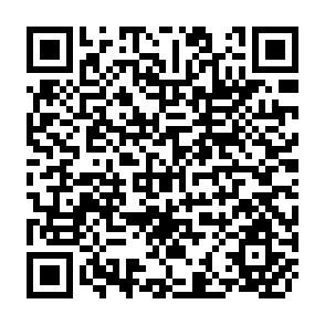 QR Code for Why are Some Countries Richer than Others? A Reassessment of Mankiw-Romer-Weil's Test or the Neoclassical Growth Model