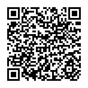 QR Code for The Doha Agenda and Development: A View from the Uruguay Round