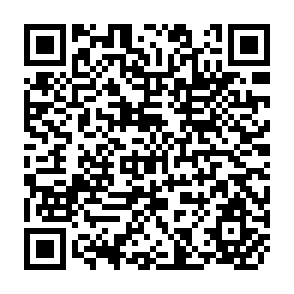 QR Code for Electricity for All- Electrification and Development in Rural Bangladesh