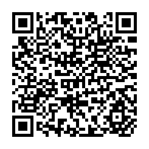 QR Code for Fish: An Issue for Everyone