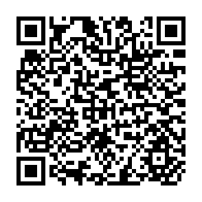 QR Code for MSSRF-FAO Expert Consultation on Science for Sustainable Food Security, Nutritional adequacy, and poverty Alleviation in the Asia- Pacific region