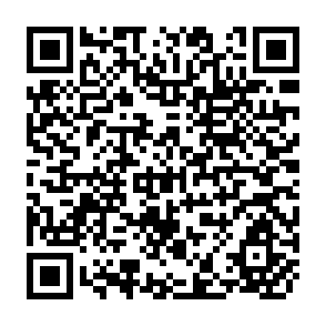 QR Code for Report of the Regional Expert Consultation of The Asia - Pacific Network For Food and Nutrition on the Status of Fivims Initiatives