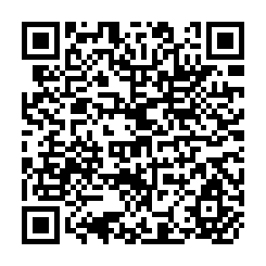 QR Code for Self-Incompatibility in Vegetable Seed Breeding