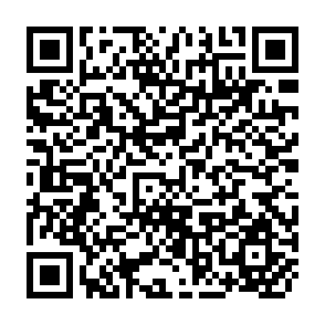 QR Code for Social and Economic Evaluation of the Multi-Functional Roles of Paddy Farming