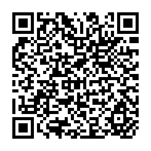 QR Code for The Chinese peasant economy