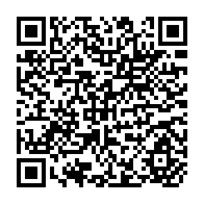 QR Code for Multi-Functionality of Agriculture, From the ViewPoint of Consumer Activities