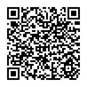 QR Code for Law and sustainable development since Rio