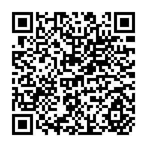 QR Code for Agricultural Price Policies Issues and Proposals
