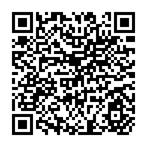 QR Code for Forest Policies and Forest Policy Reviews