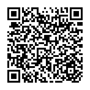 QR Code for From Farmer Field Scholl to Community IPM Ten Years of IPM training in Asia