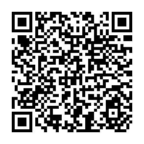 QR Code for New Economic History