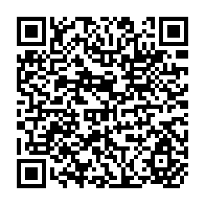 QR Code for Proceedings of SAARC Workshop on Soil Fertility Management for Increasing Productivity in Rice-based Cropping System