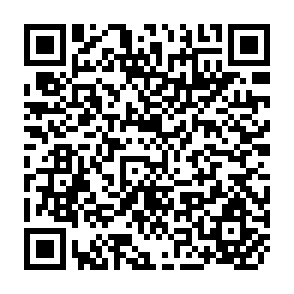 QR Code for The Elusiveness of Equity: Institutional Approaches to Rural Development in Bangladesh