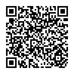QR Code for The Uruguay Round Follow-up and Multilateral Trade Negotiations on Agriculture