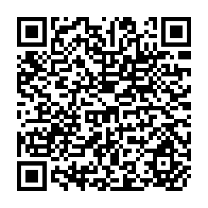 QR Code for Report of The Regional Expert Consultation of the Asia-pacific network for food and nutrition on reviewing implementation of national food based dietary guidelines(FBDGs)