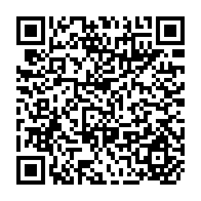QR Code for Rural Electrification and Decentralized Decision-Making in Rajasthan, India