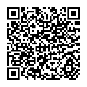 QR Code for Annotated Bibiliography on Seed Quality Production and Preservation in the SAARC Region