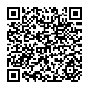 QR Code for Human Development Report 2003