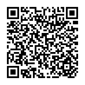 QR Code for The Dynamics of Institutional Change and Rural Development in Punjab, India
