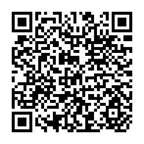 QR Code for NIRD - CIRDAP Colloborative International Training Program on Planning for Watershed Projects with Special Reference to Drought Prone Area