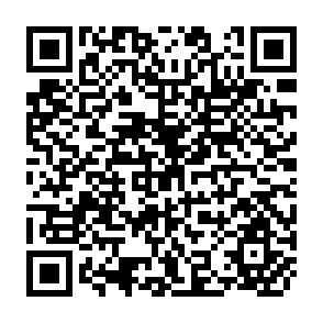 QR Code for Globalization and the Poor