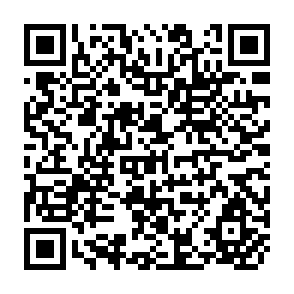 QR Code for Human Resource Management
