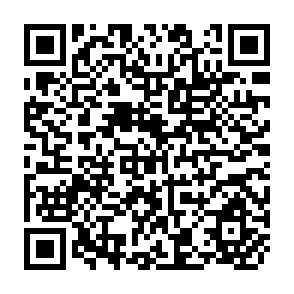 QR Code for Human Resources Development Experiences Interventions Strategies