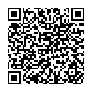 QR Code for Globalization and Development Studies : Challenges for the 21st Century